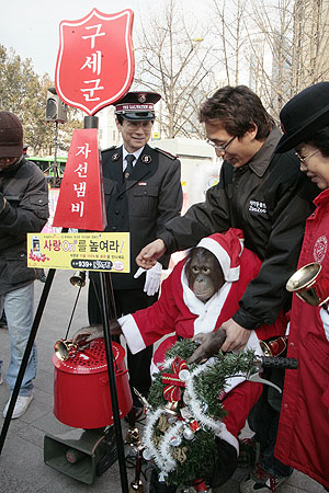 				▲한편 경기도 고양시 테마동물원의 오랑우탄인 ‘오랑이’가 자선냄비 시종식에 참여해 전광표 사령관과 함께 타종하고 있다. ⓒ고준호 기자				